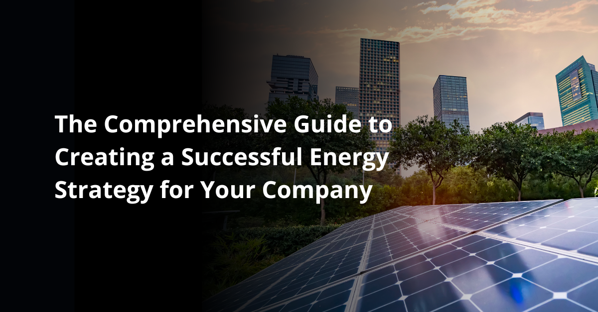 the guide to energy strategy